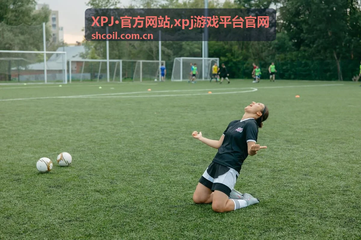 XPJ·官方网站官方入口指引封面