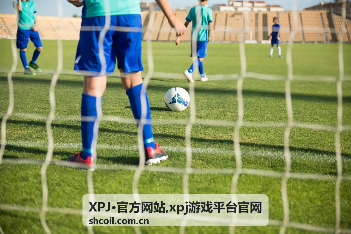 xpj游戏平台官网入口与页面说明示意