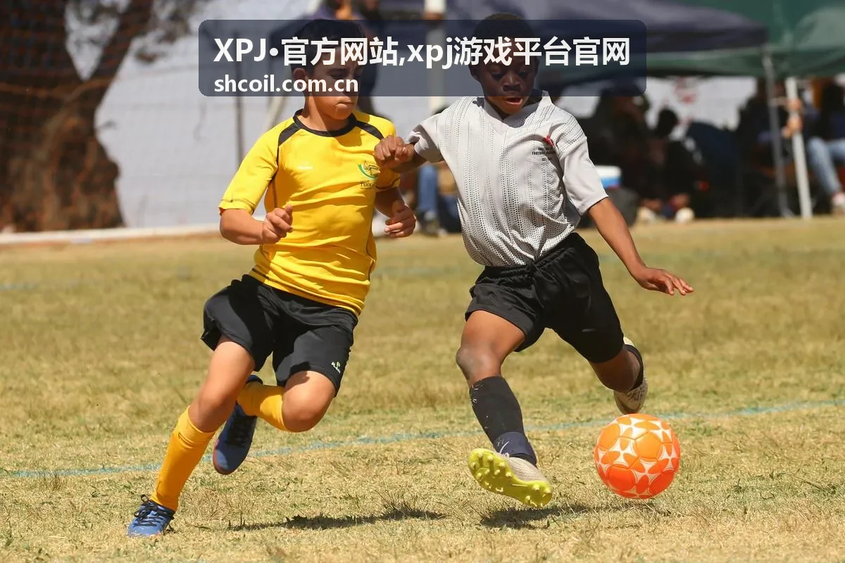 XPJ·官方网站栏目说明精选内容