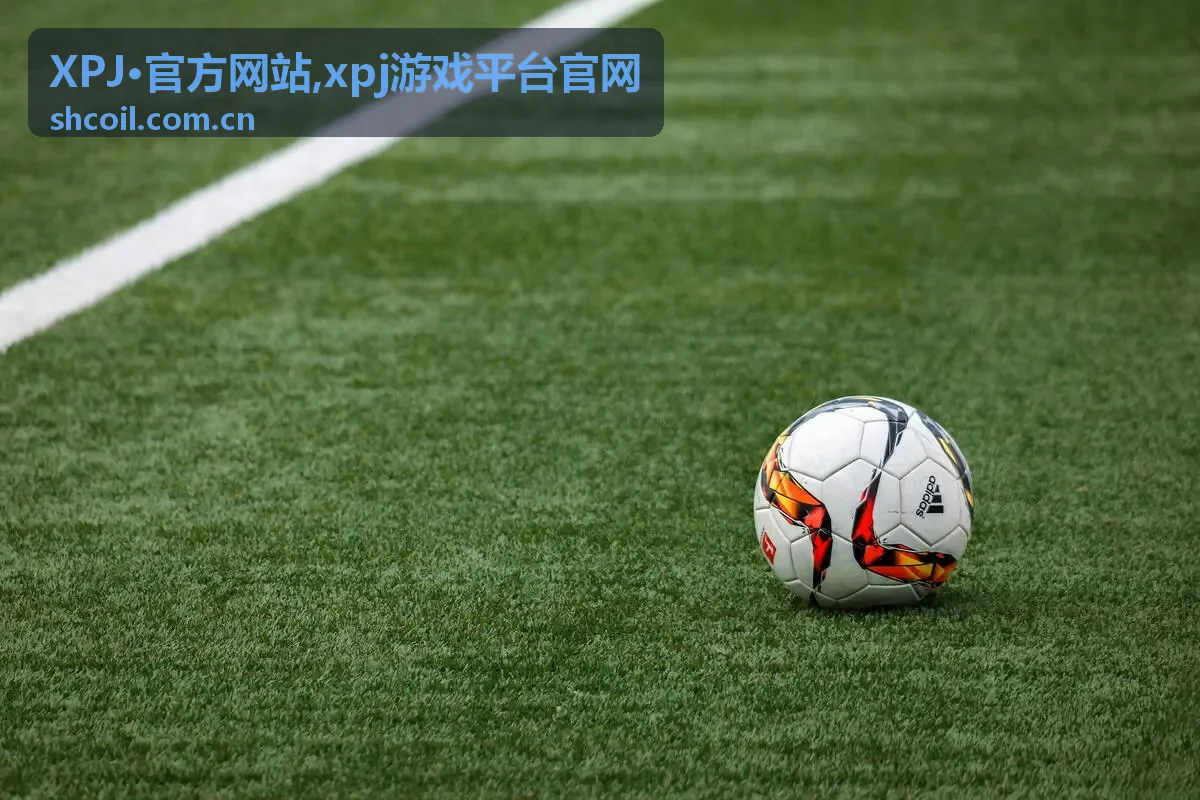 xpj游戏平台官网栏目介绍缩略图